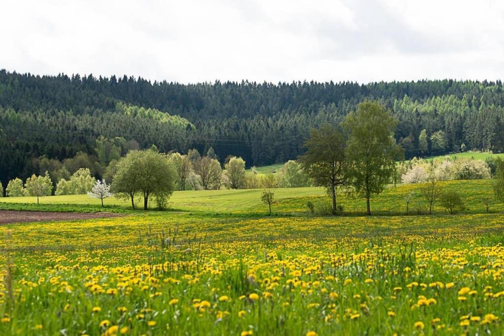 Gaestehaus Kohlberg Kohlberg  외부 사진